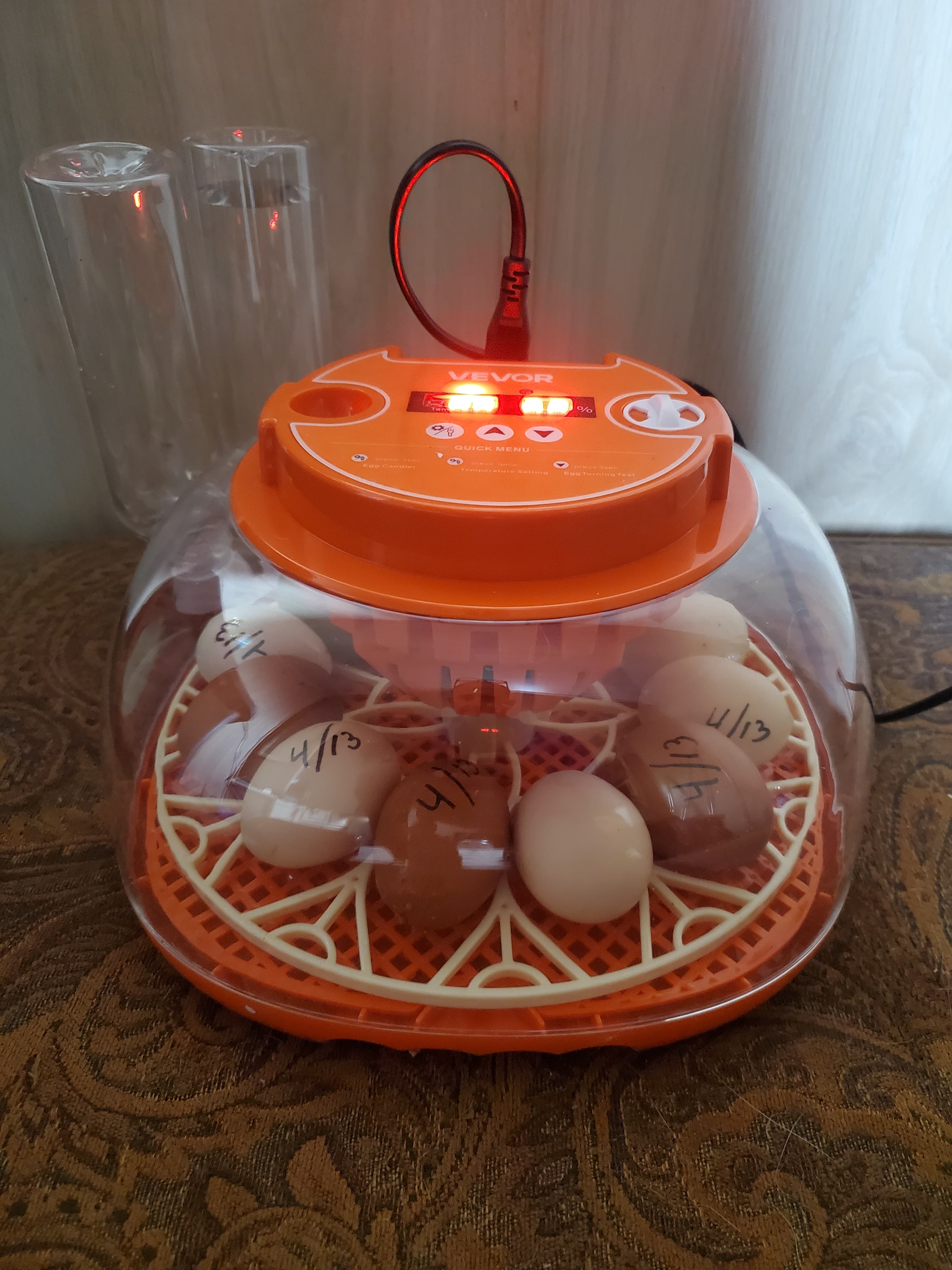 Egg incubator with eggs inside
